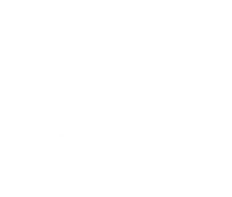 logo footer